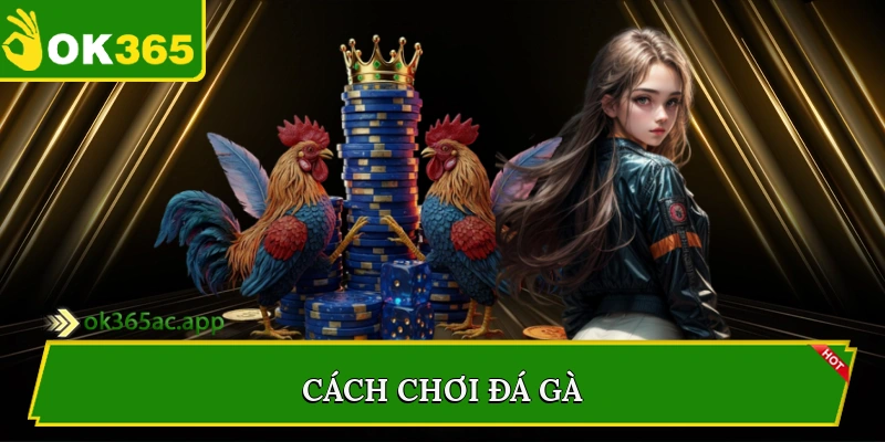 Cách chơi đá gà