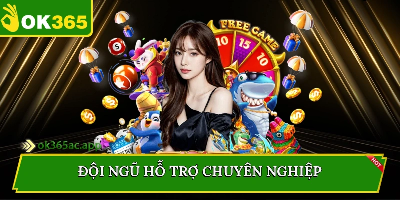 Đội ngũ hỗ trợ chuyên nghiệp