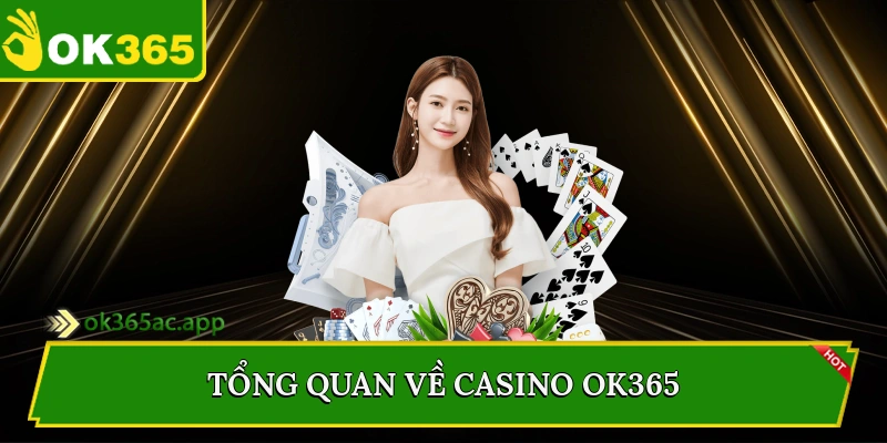 Tổng quan về Casino Ok365