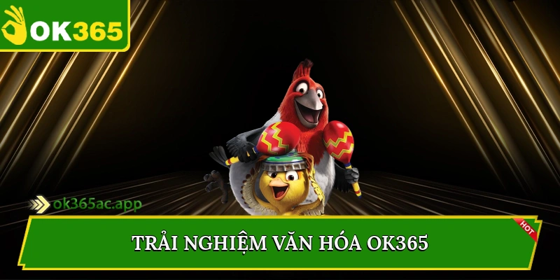 Trải nghiệm văn hóa Ok365